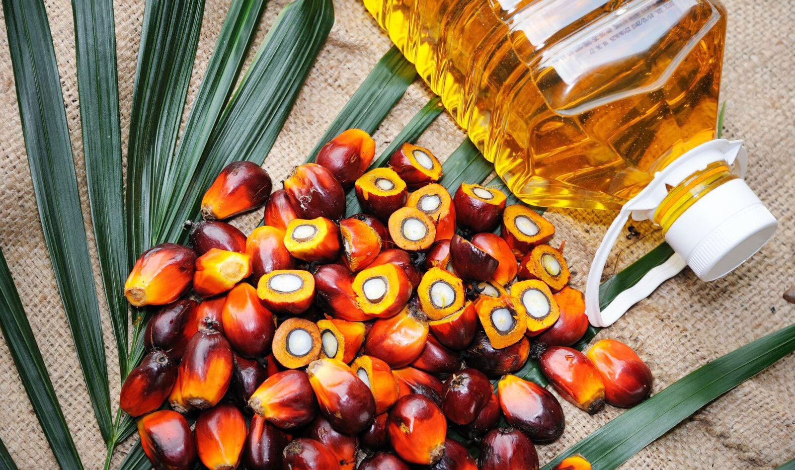 Technology Startup Creates Lab-Grown Palm Oil&nbsp;