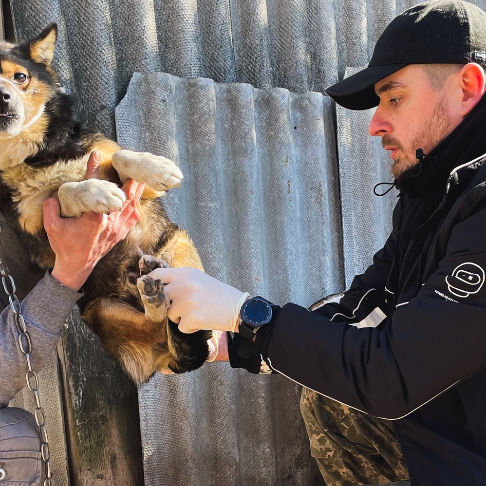 How This Ukrainian Veterinarian Is Helping Save Animals in War-Torn Kyiv