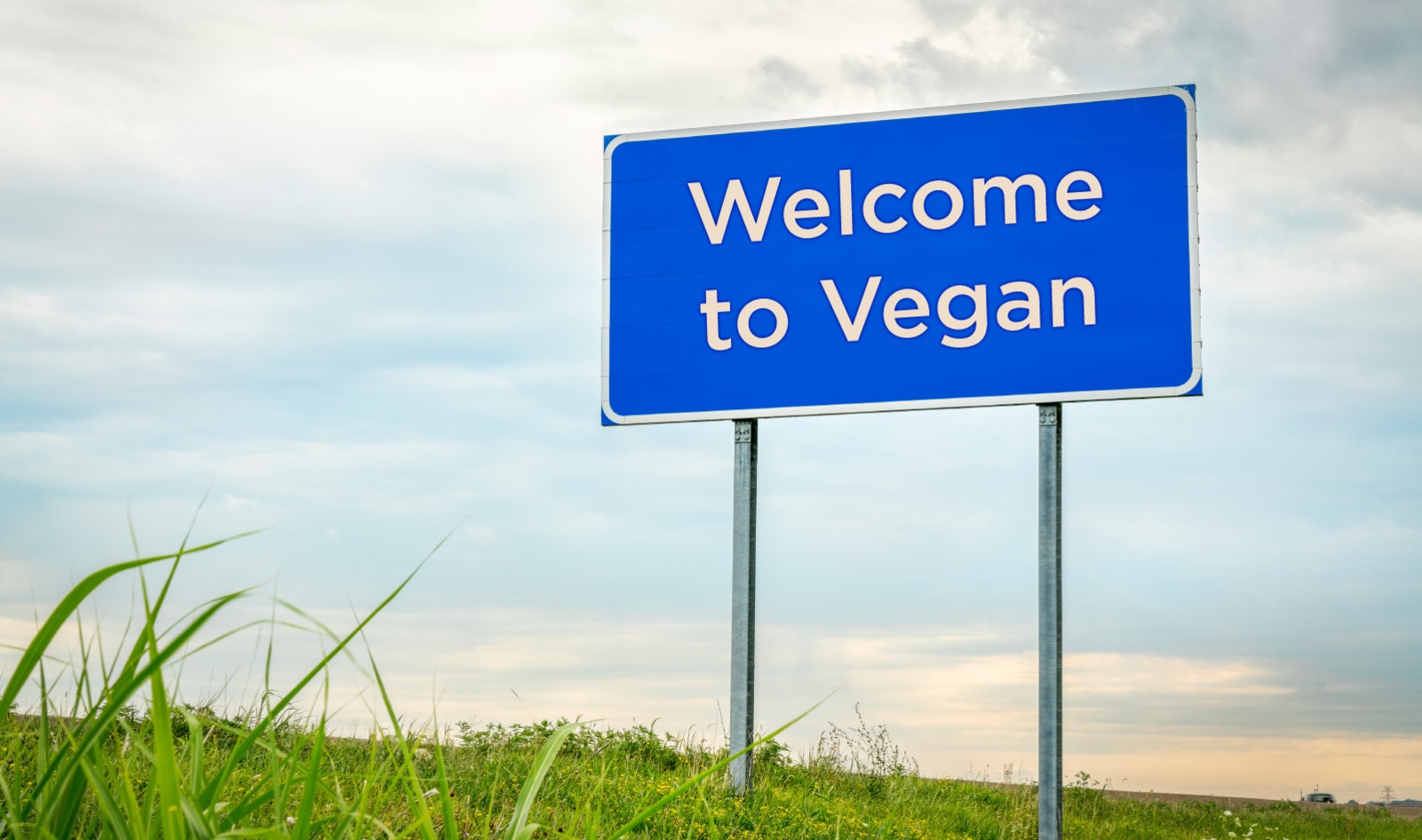 The US Is Getting a National Vegan Welcome Center