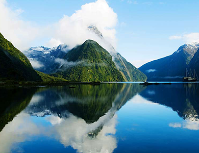 nz