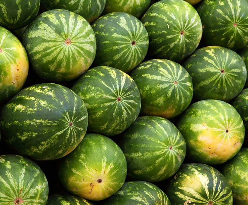 VegNews.Watermelon