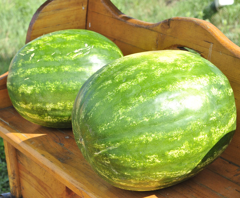 VegNews.Watermelon4