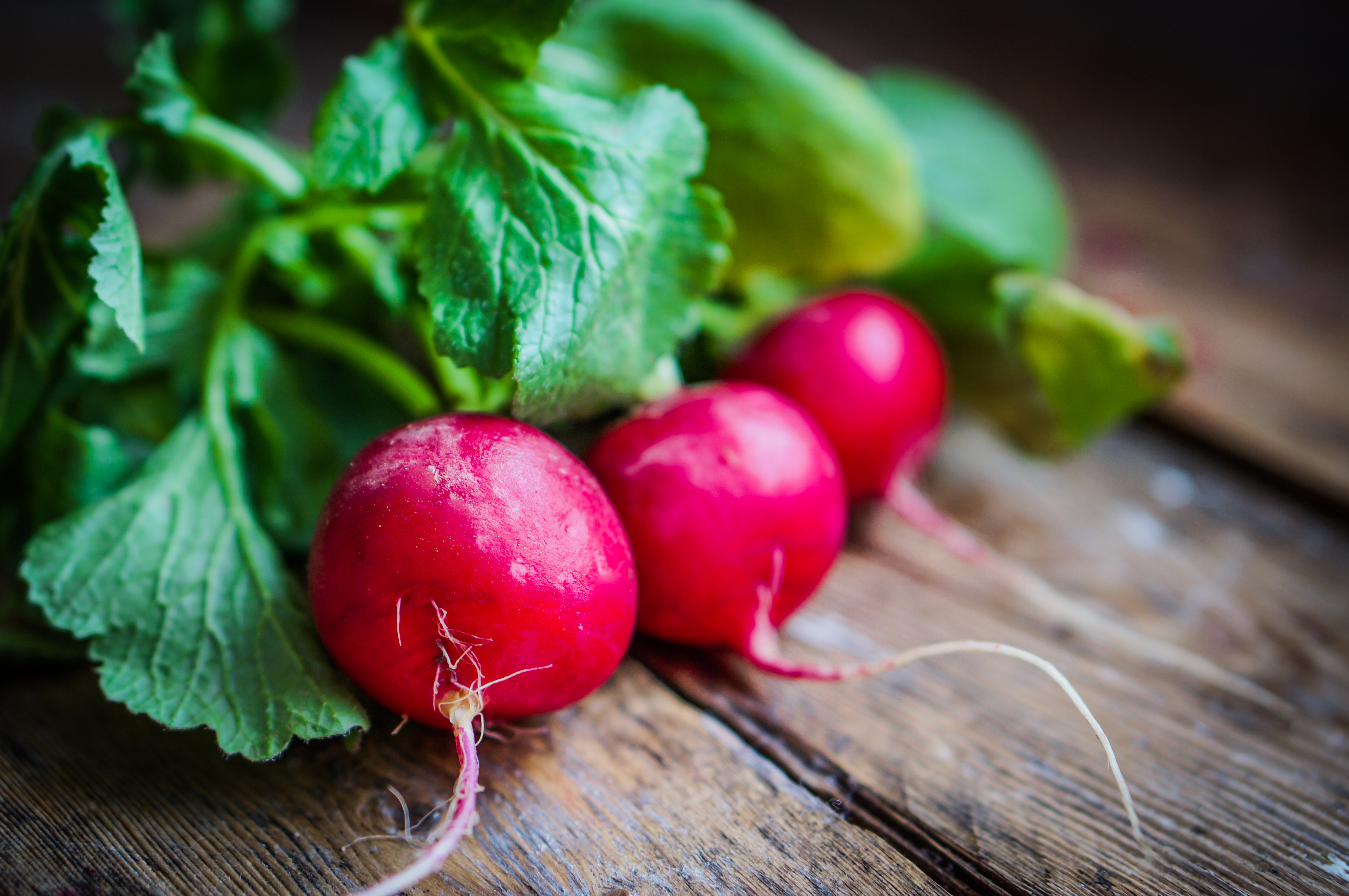 VegNews.Radishes