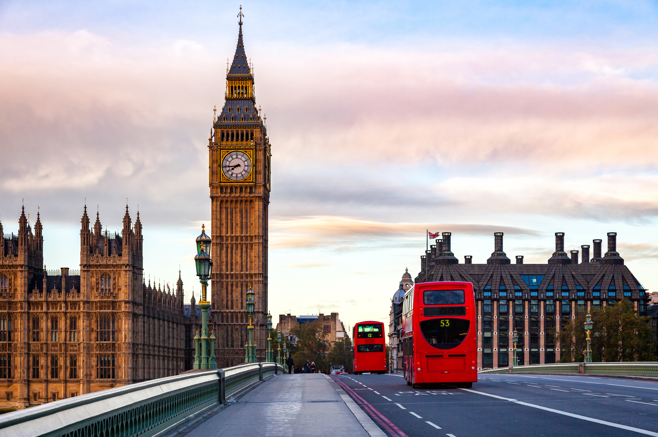 VegNews.London bus