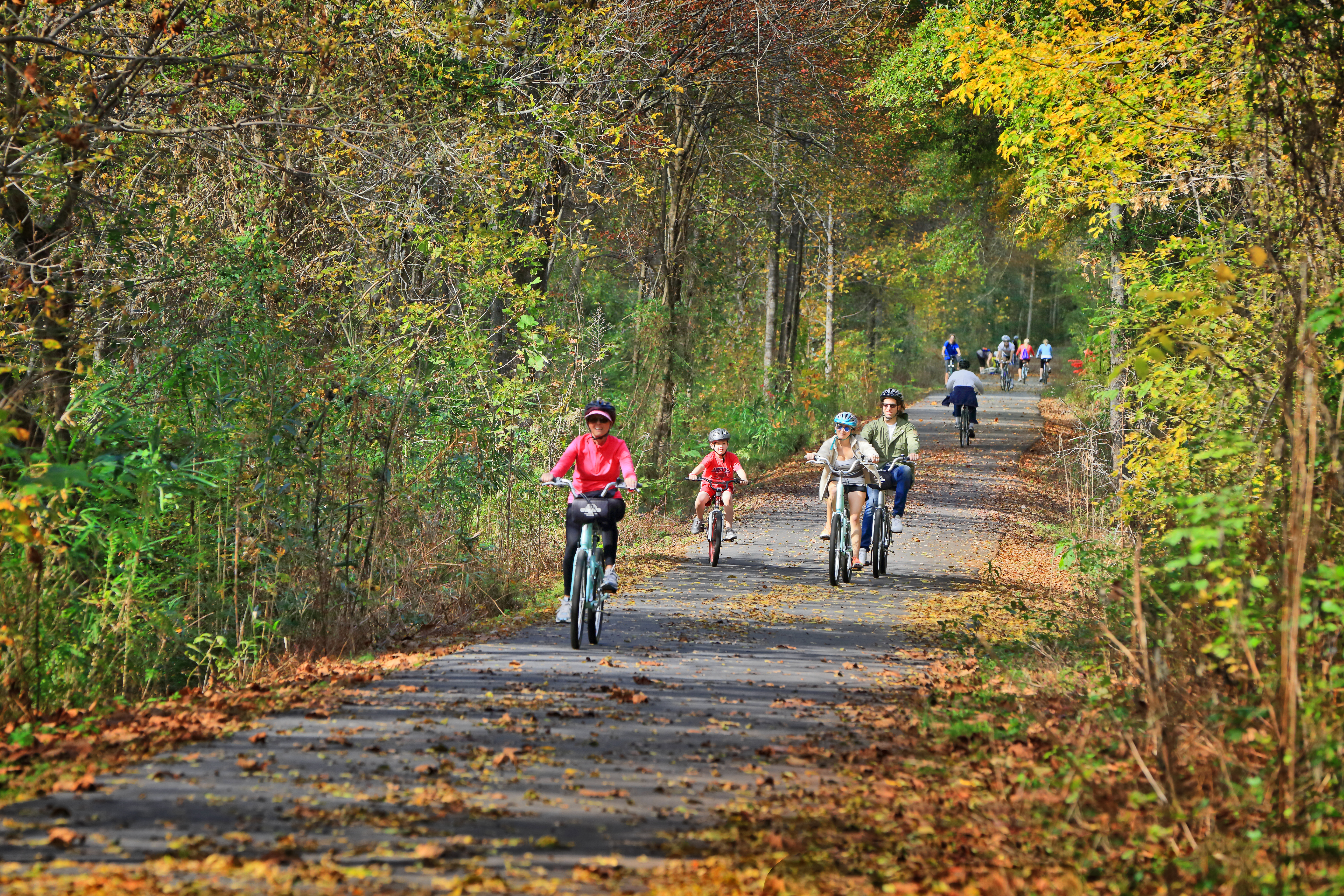 VegNews.GreenvilleBikeTrail