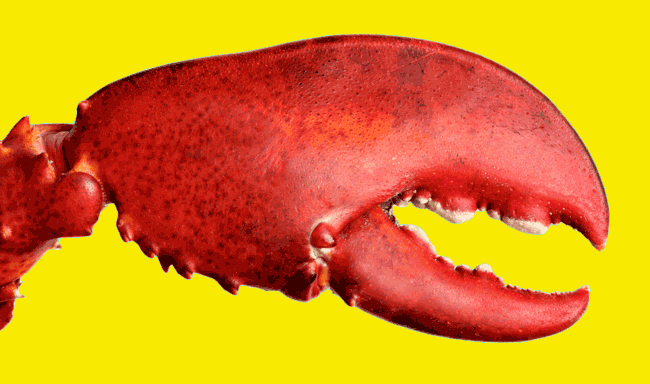 VegNews.LobsterClaw