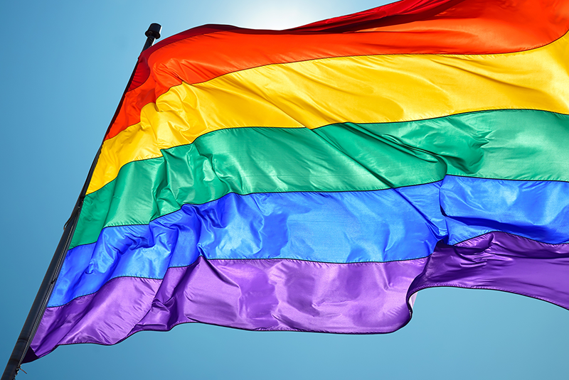 VegNews.PrideFlag