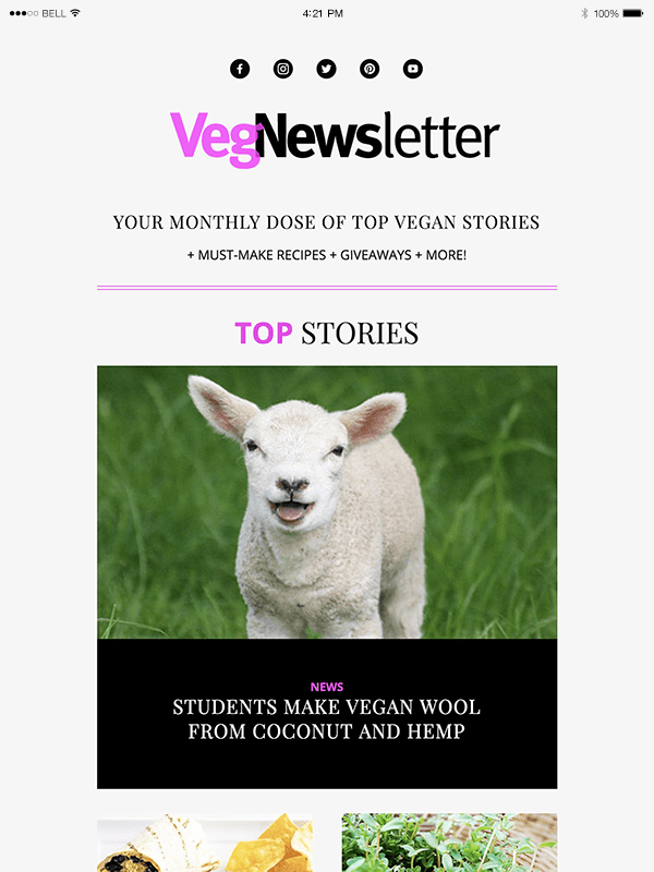 VegNewsletter-Preview