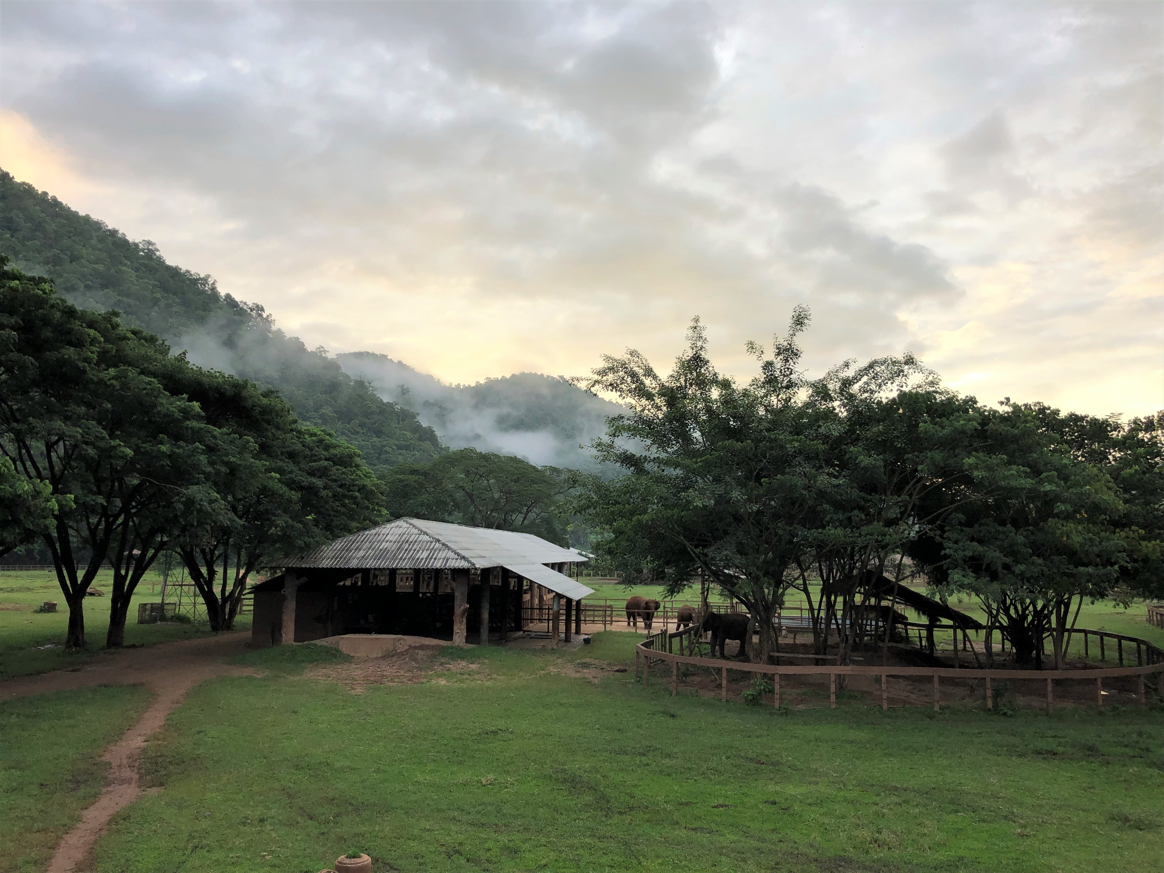 VegNews.ElephantSanctuary2