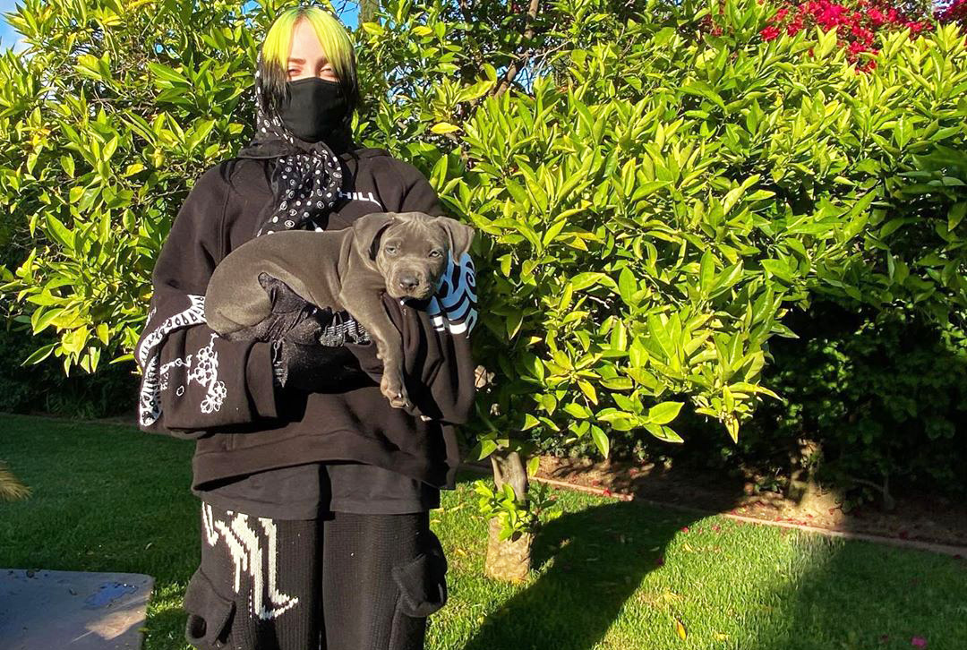 VegNews.BillieEilishPuppy