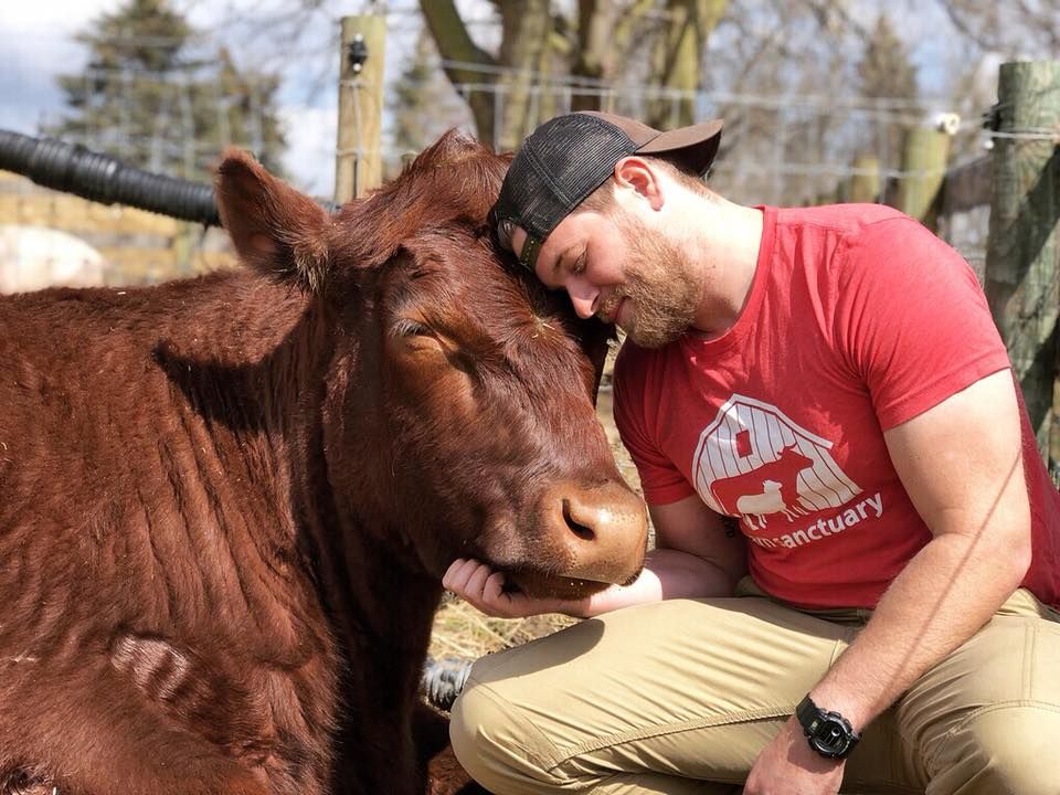 VegNews.BarnSanctuary