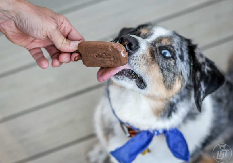 VegNews.LongHaulTrakkersCarobFudgsicles