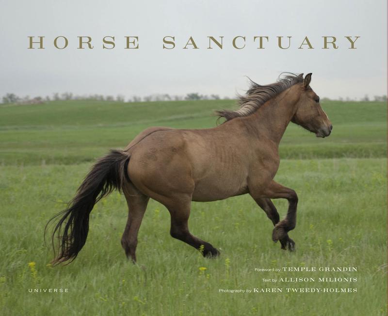 VegNews.HorseSanctuary