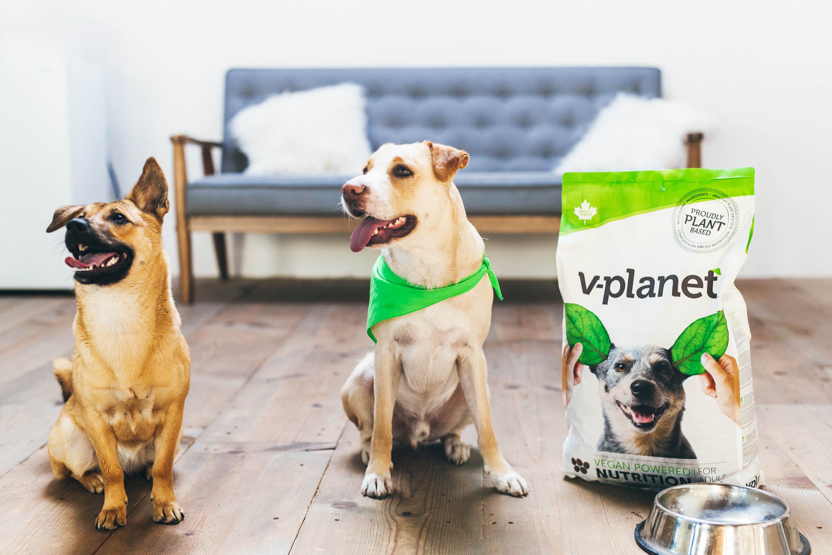 VegNews.VPlanetDogFood