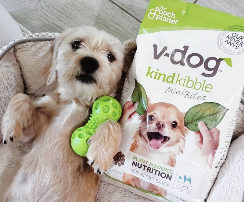 VegNews.Vdog