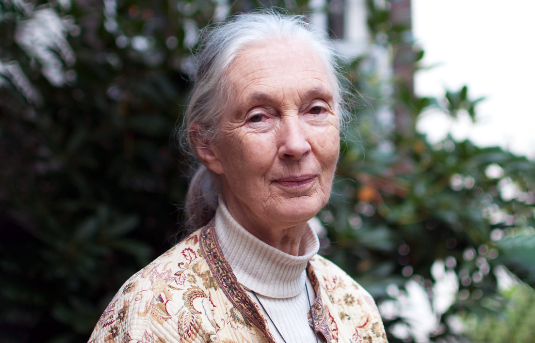 VegNews.JaneGoodall2