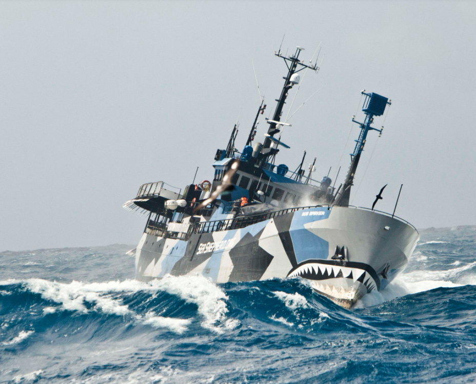 VegNews.SeaShepherd3