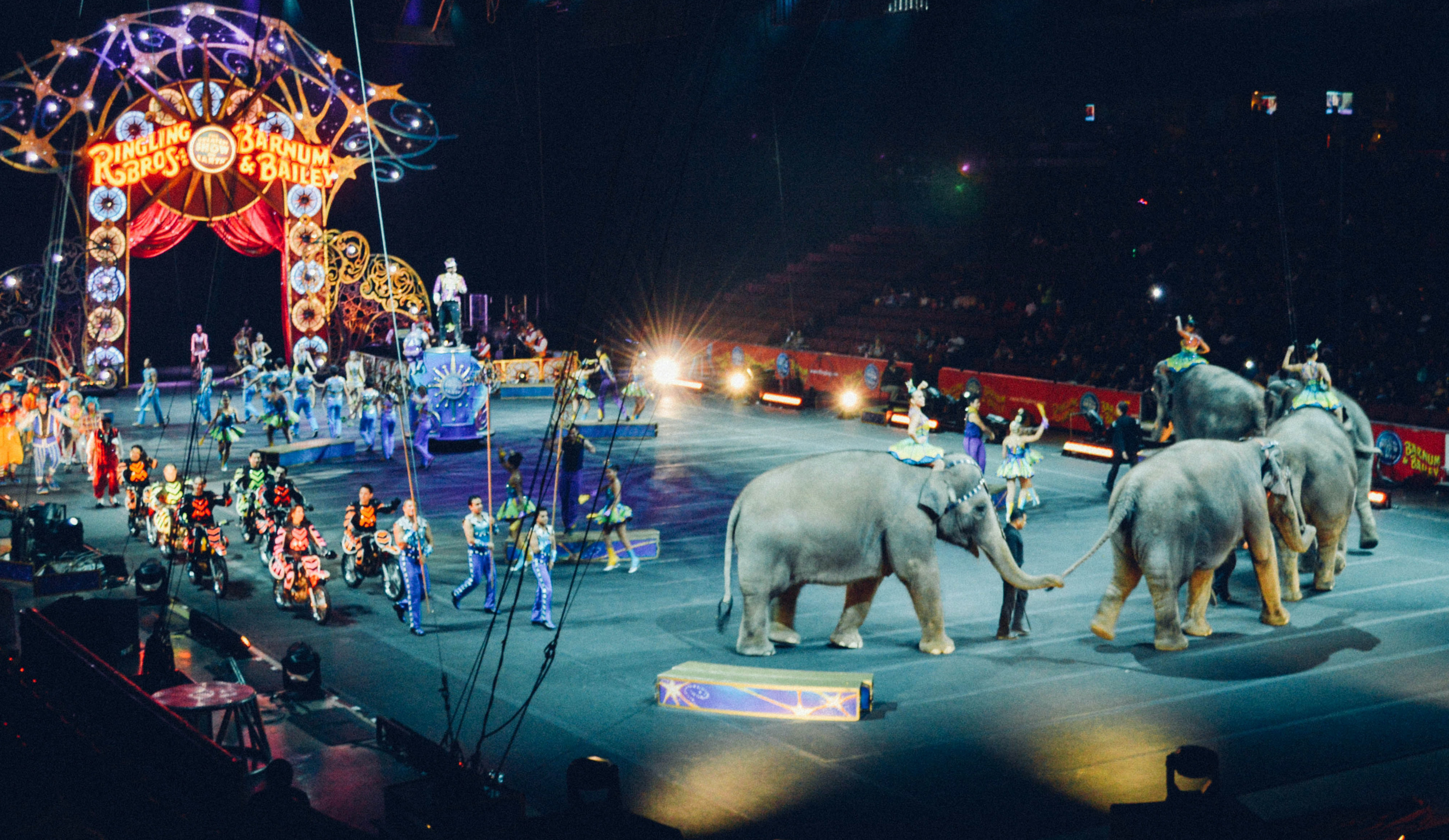 VegNews.RinglingBros