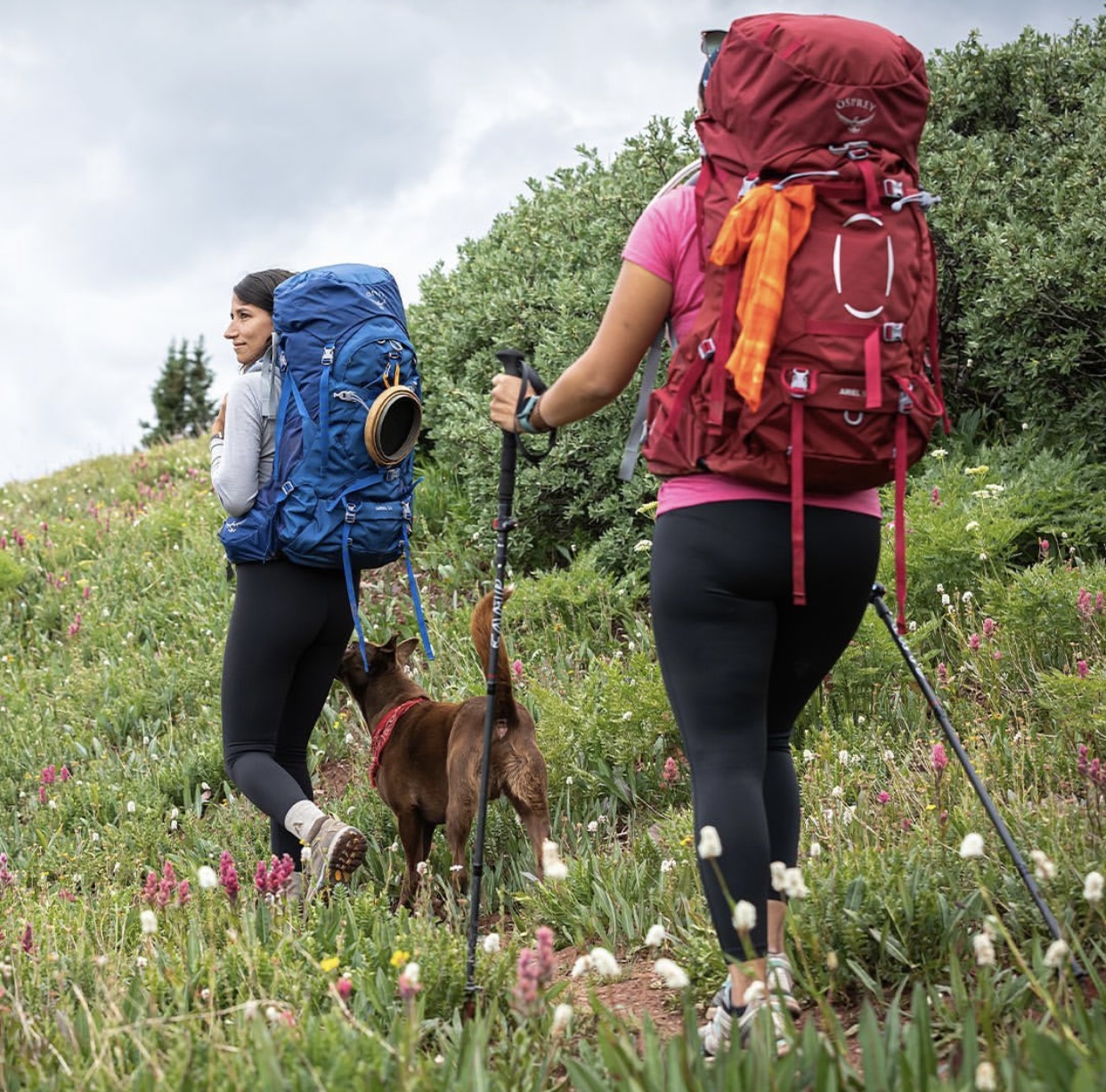 VegNews.OspreyPacks