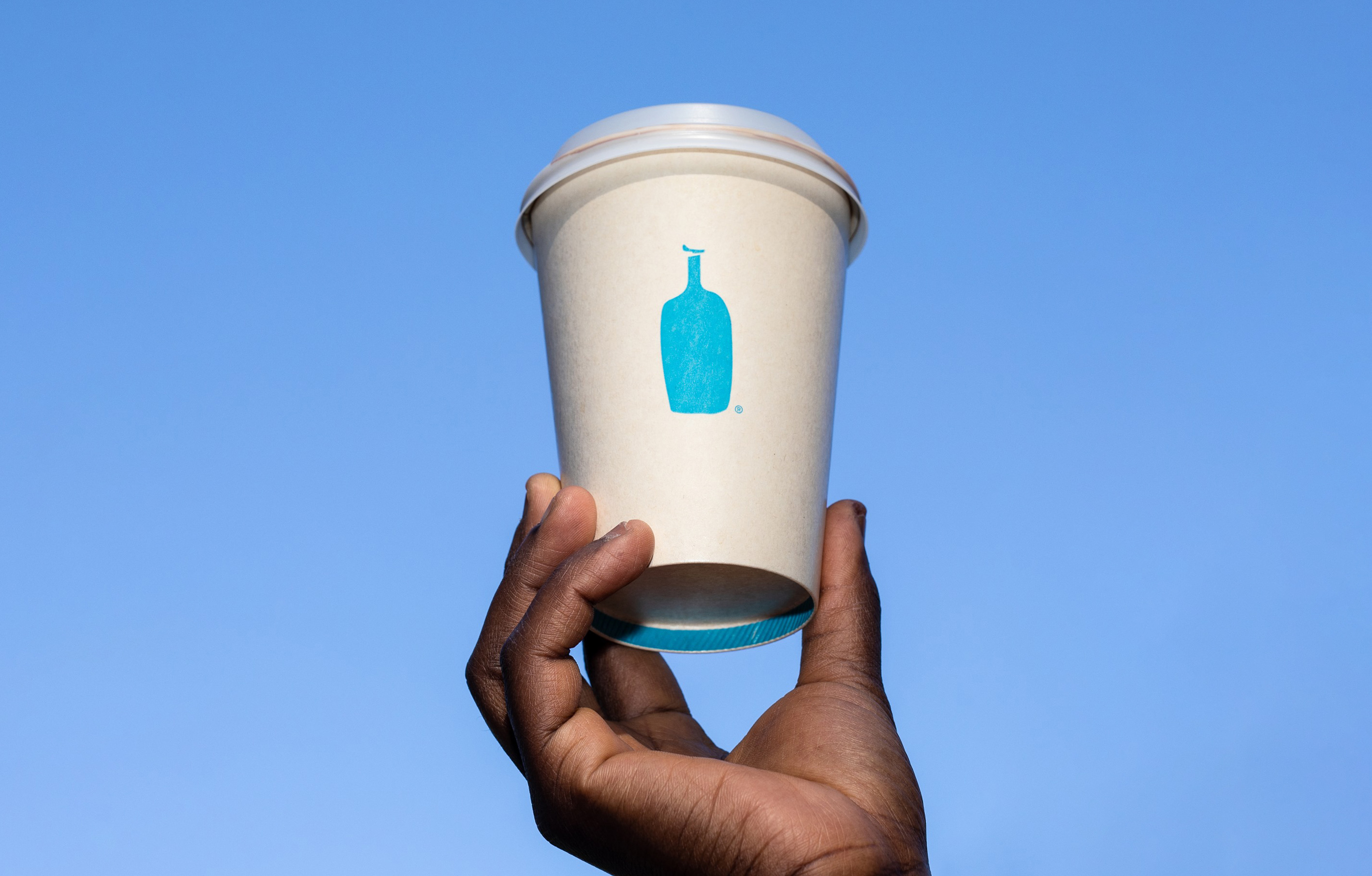 VegNews.BlueBottle5