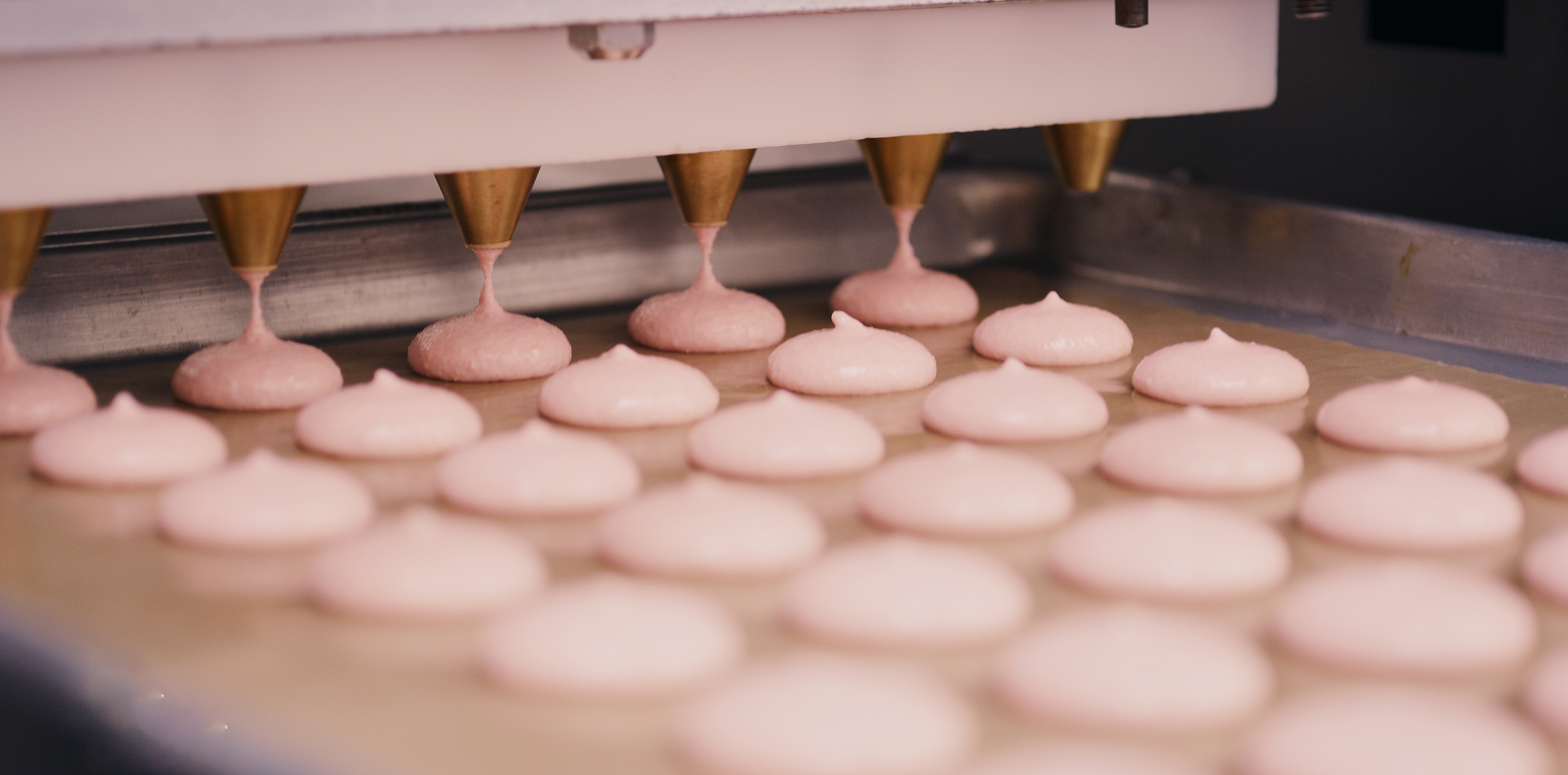 What Are Hen-Free Egg Whites? See for Your self with Chantal Guillon’s First Vegan Macarons