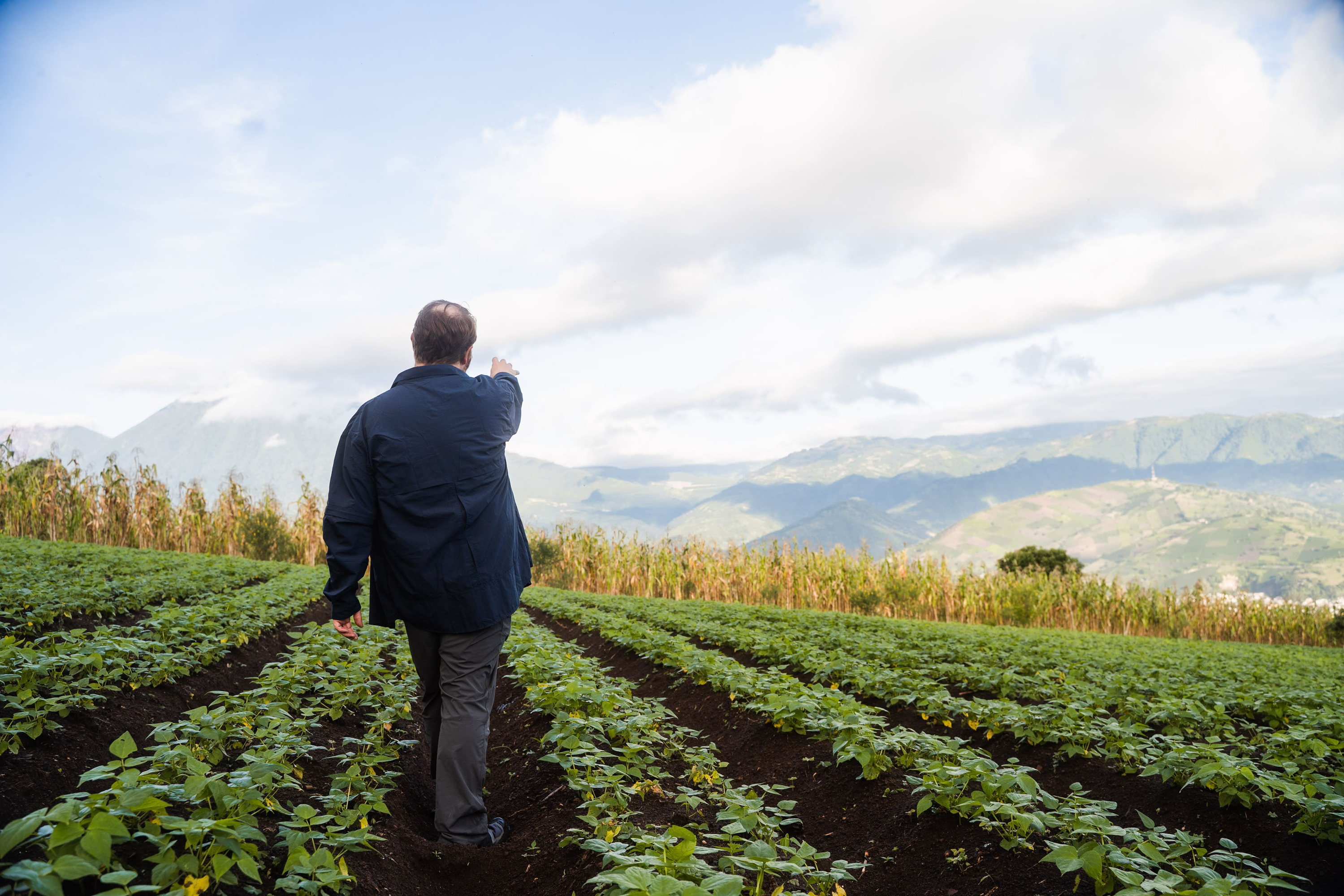 VegNews.PlantCrops.Unsplash