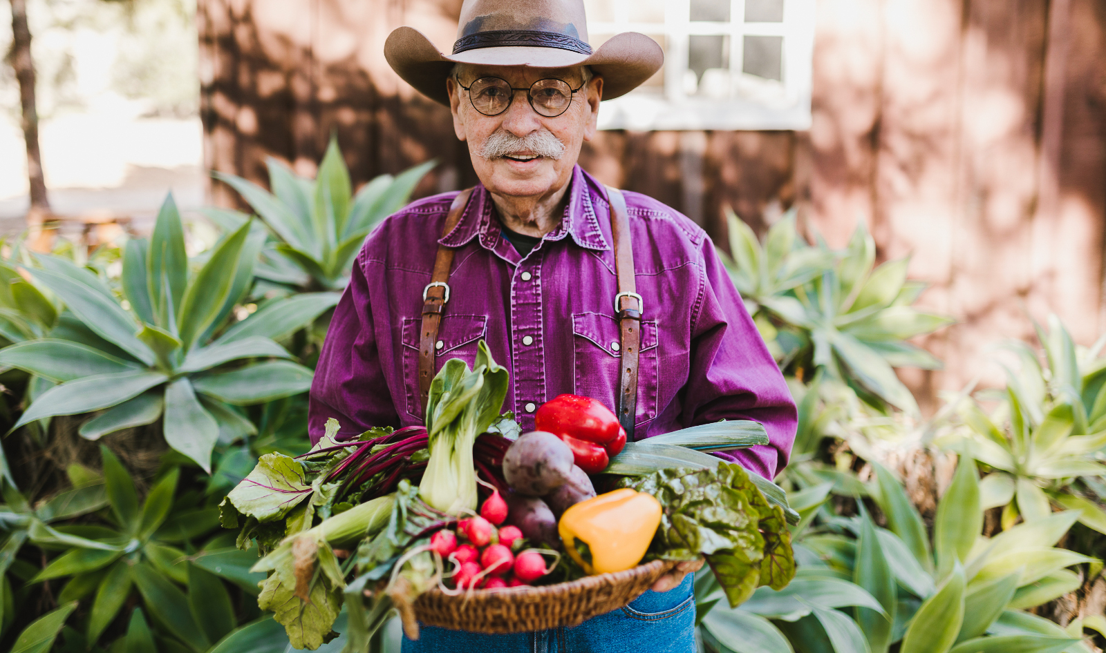 VegNews.VegetableFarming.Canva