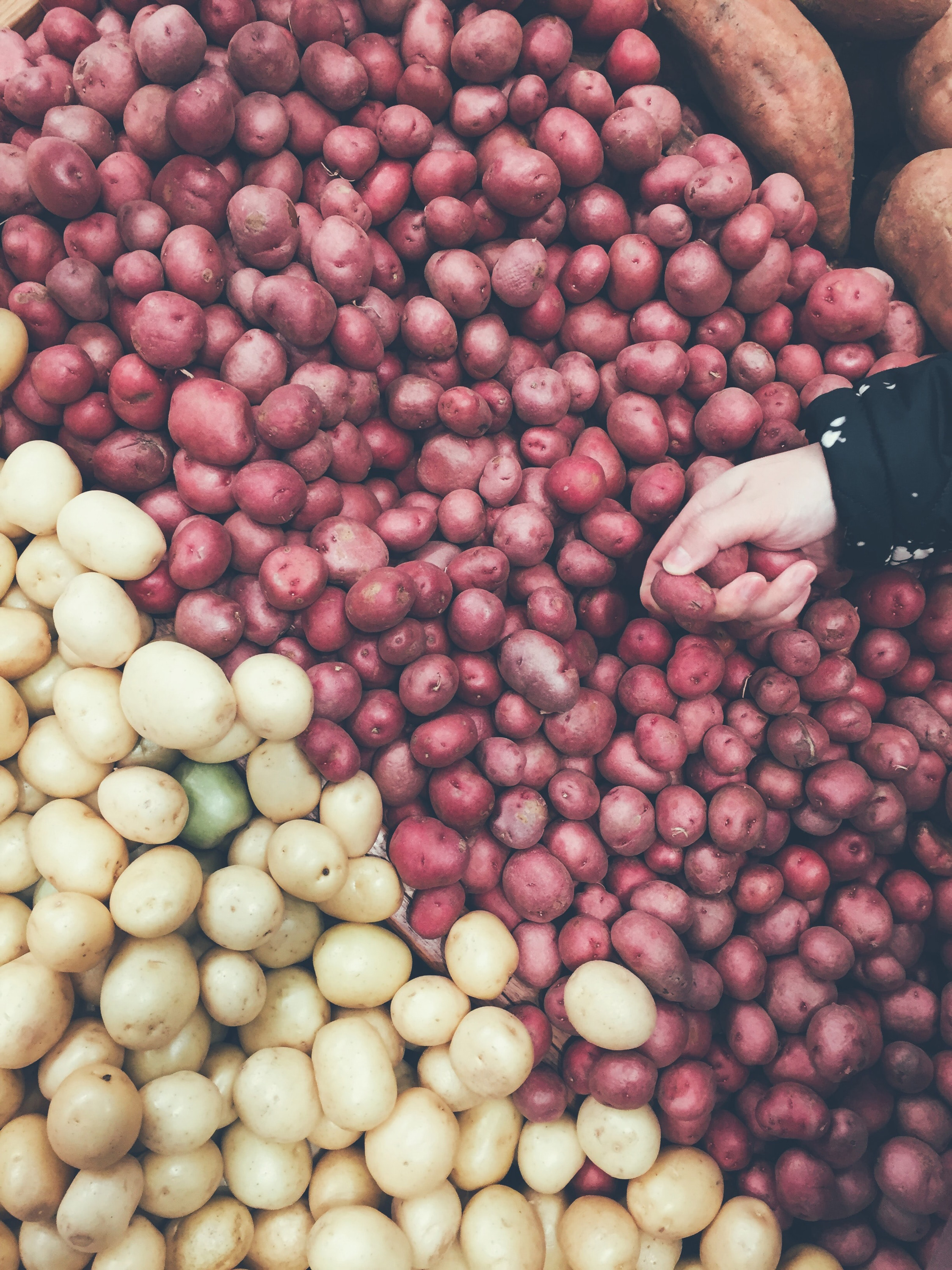 VegNews.Potatoes.Unsplash