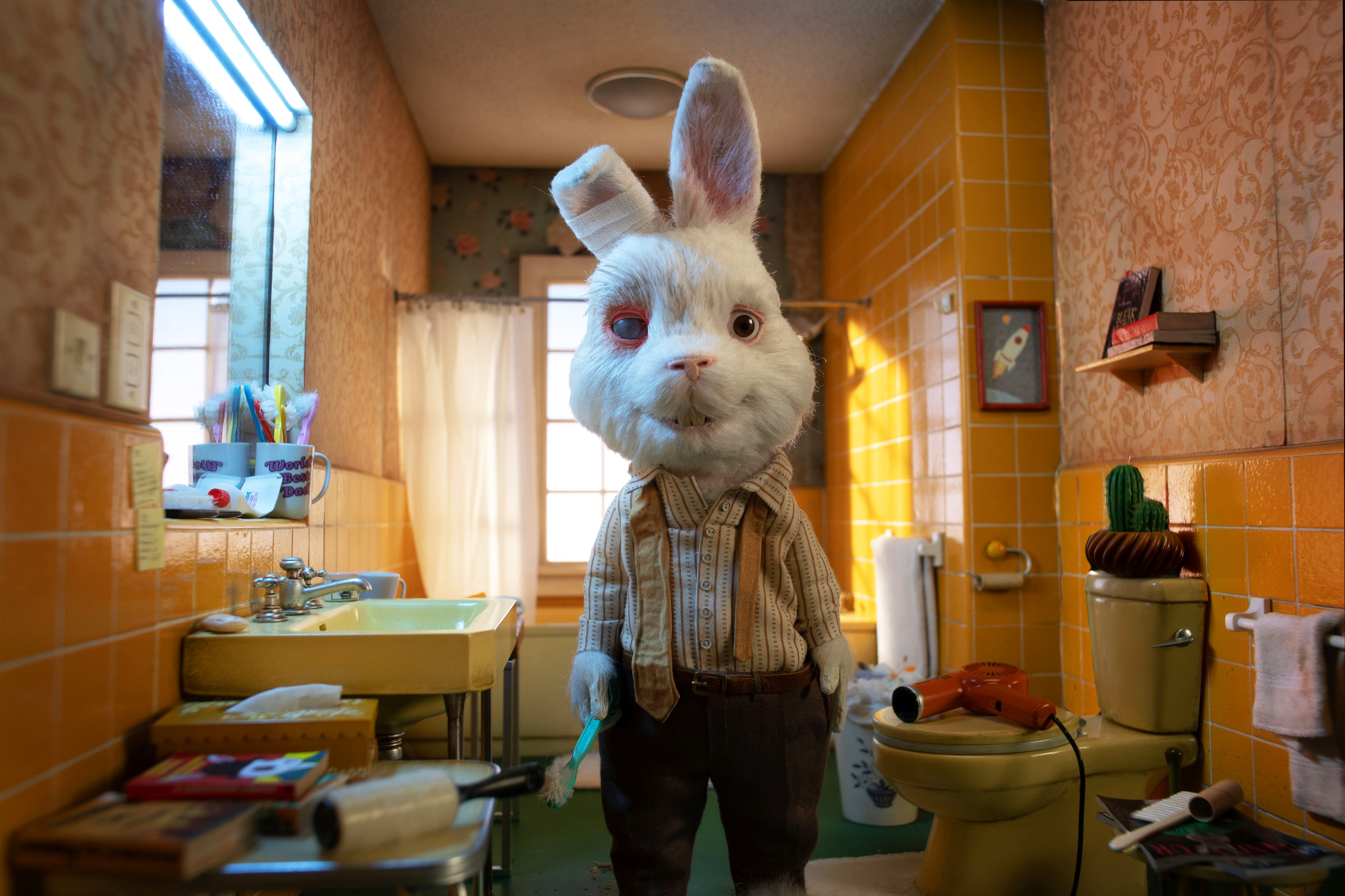 Taika Waititi’s ‘Save Ralph’ Nabs Main Award in Cannes. Is the Finish Close to for Beauty Animal Testing?