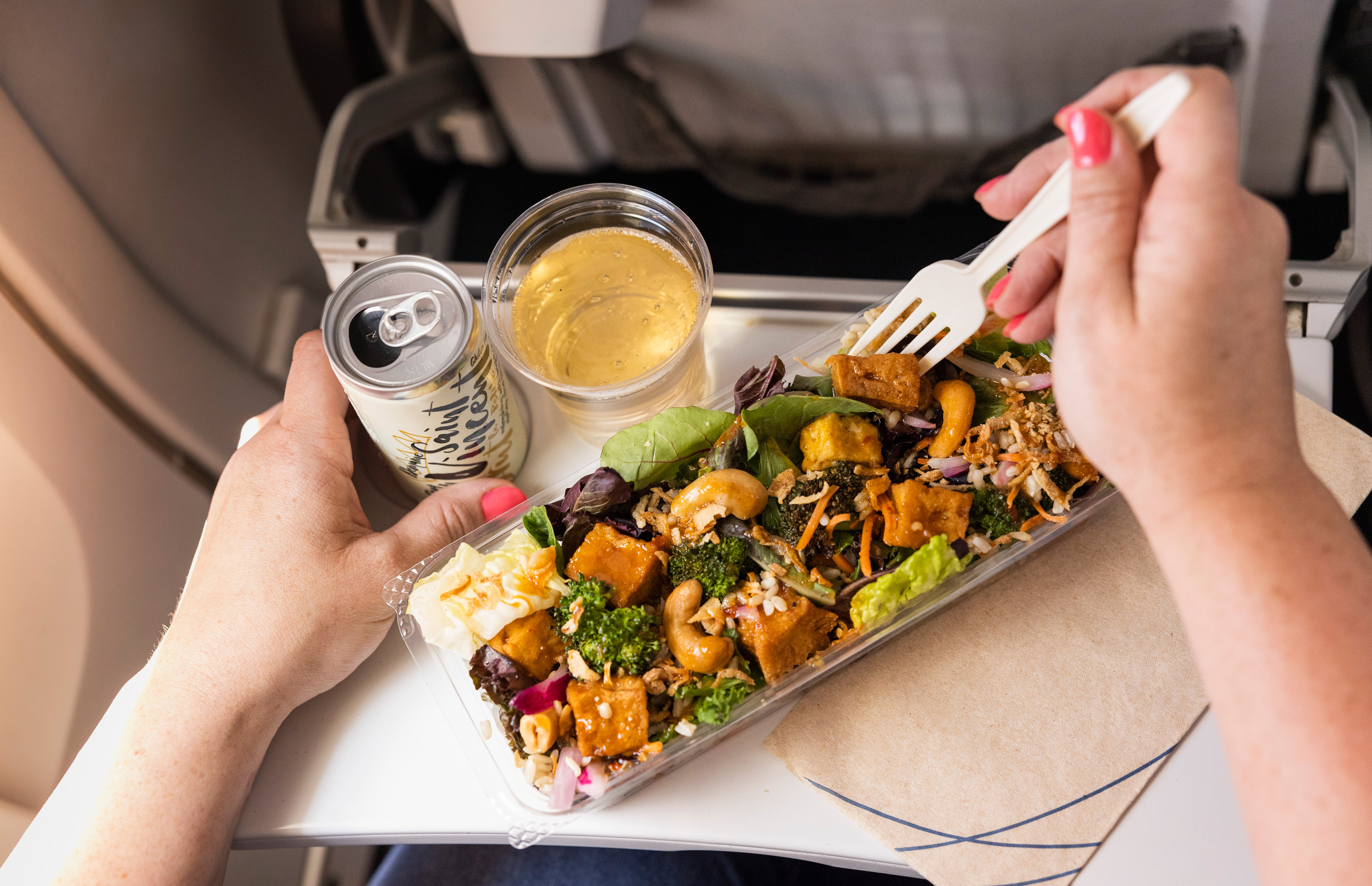 VegNews.SoyMeetsWorld2.AlaskaAirlines