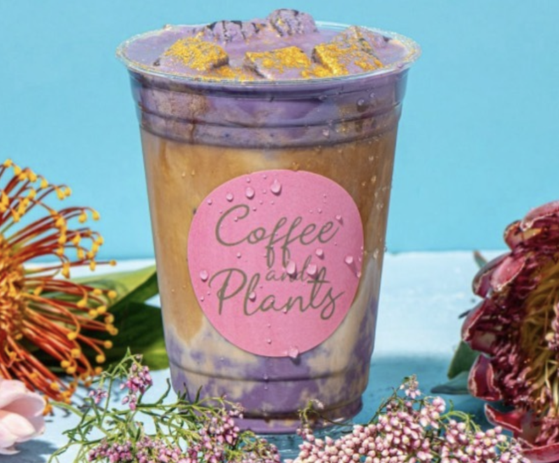 Vegnews.coffeeandplants