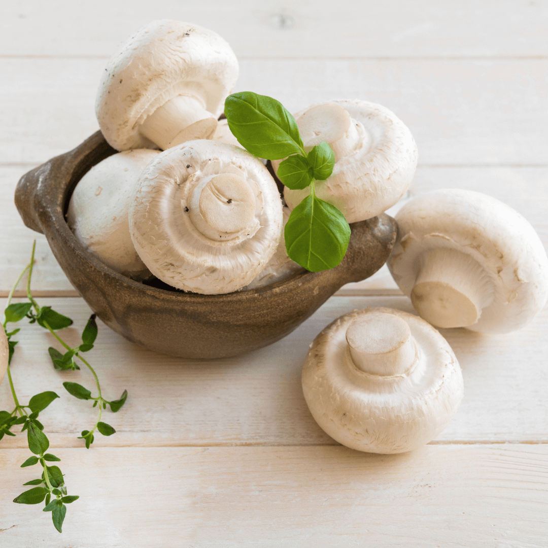 VegNews.MushroomGuide.Canva1