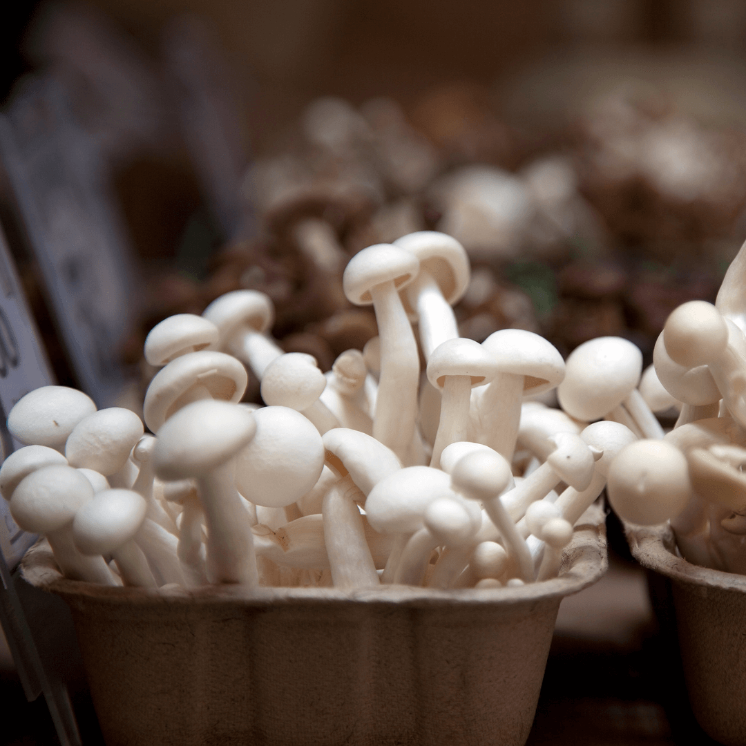 VegNews.EnokiMushrooms.Canva