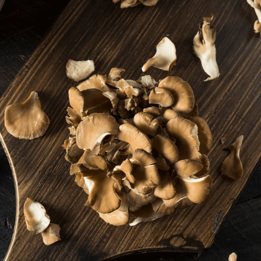 VegNews.MaitakeMushroom.Canva