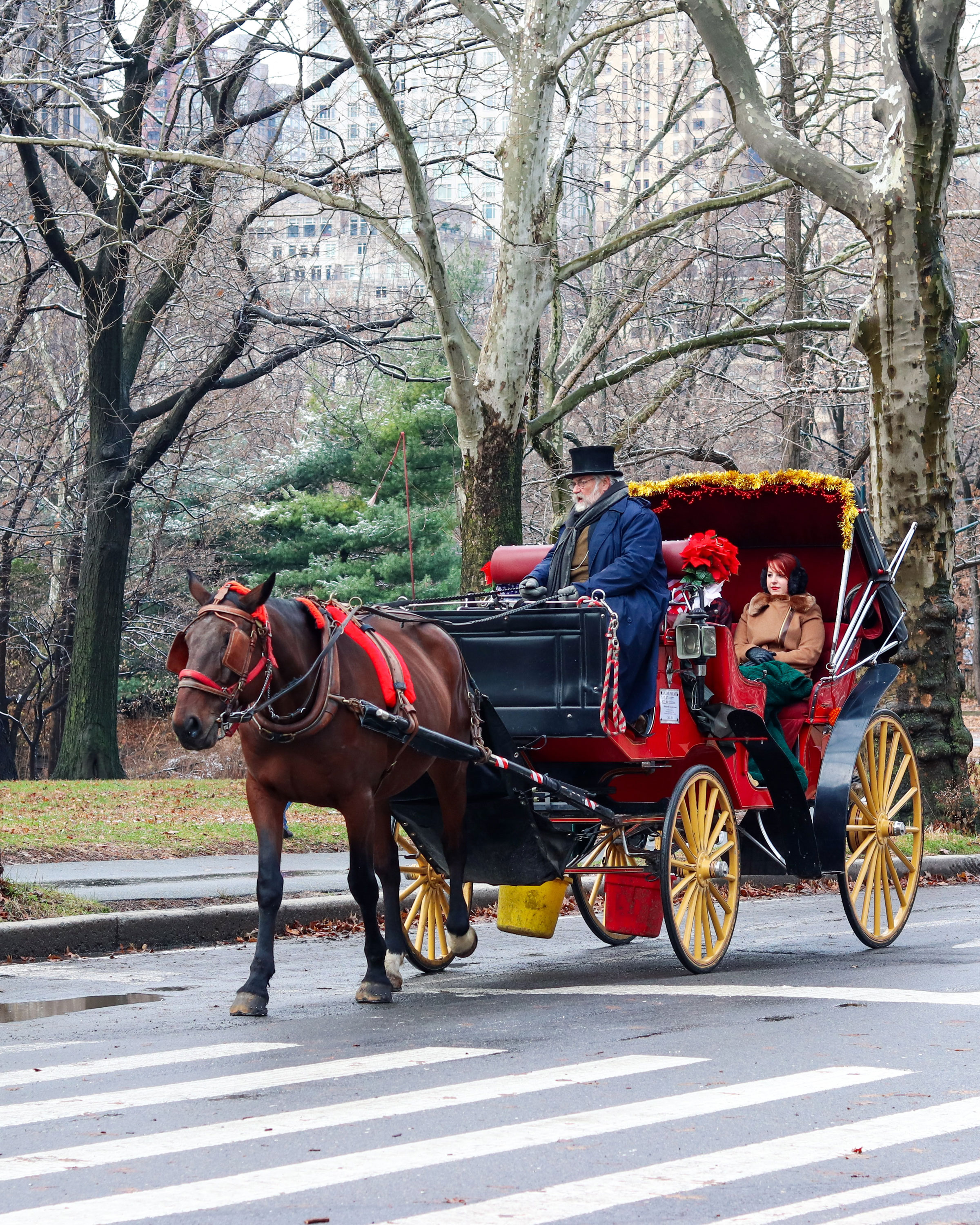 VegNews.HorseCarriageNYC3.Unsplash