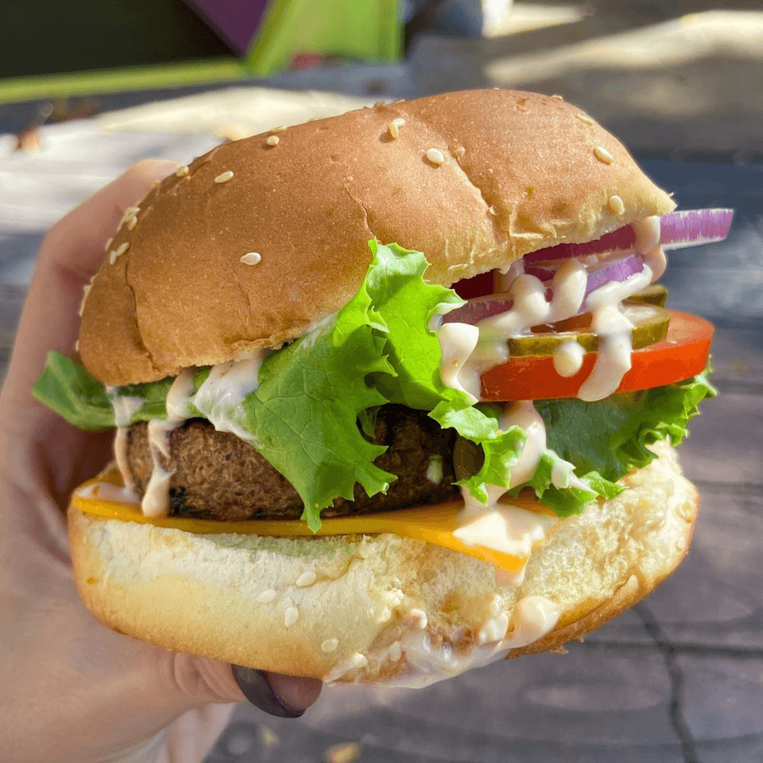 Plant Based Options at Islands of Adventure 