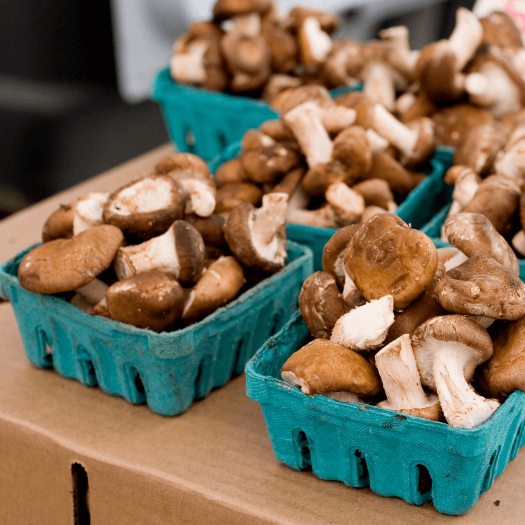 VegNews.ShiitakeMushroom.Canva