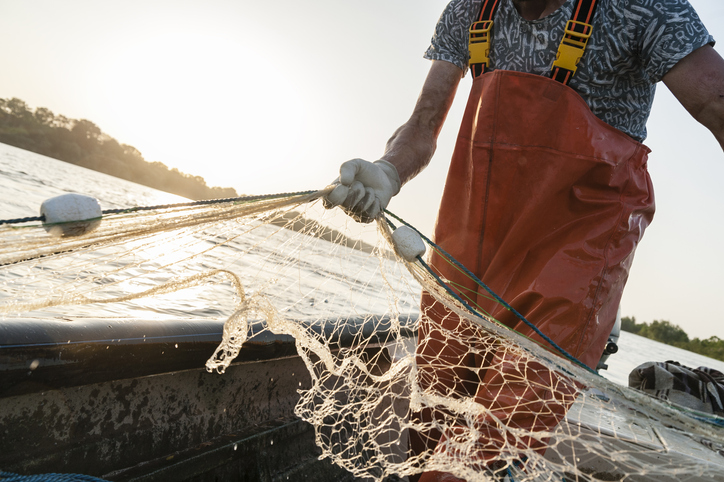 VegNews.iStock.FishingNet