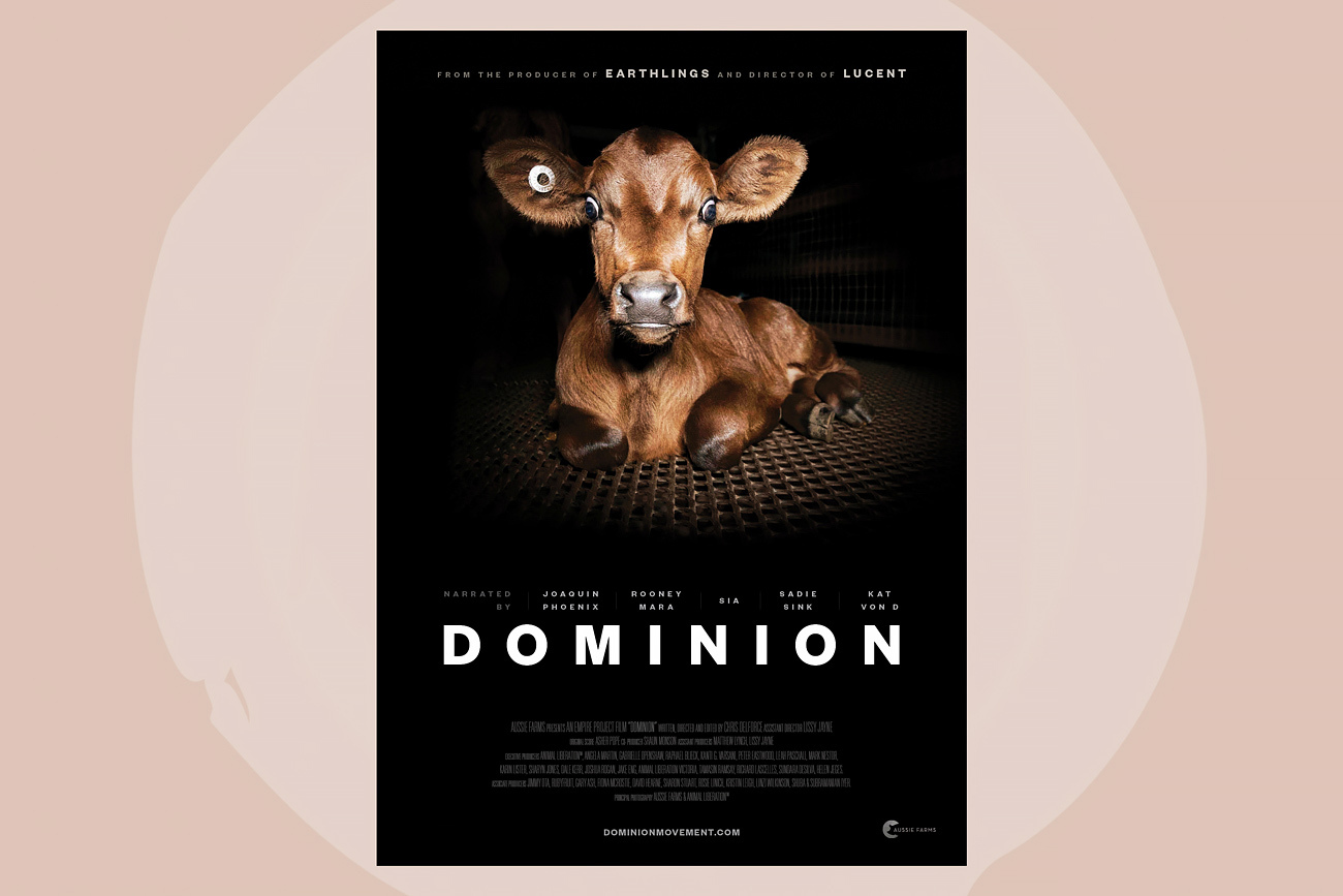 11-Dominion