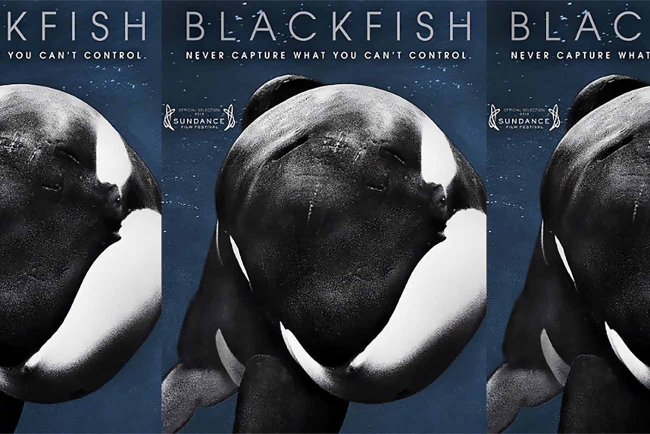 4-blackfish