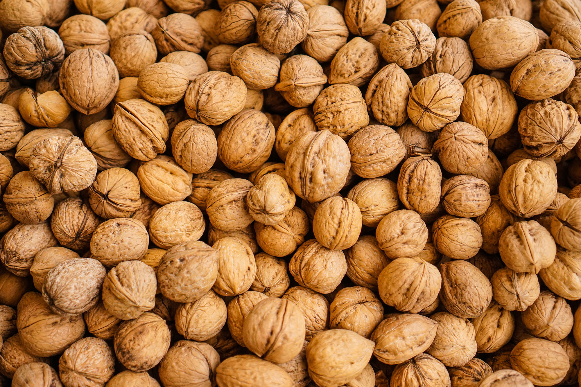 VegNews.Walnuts.Unsplash