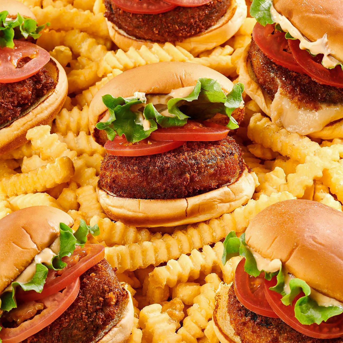 5-ShakeShack (1)