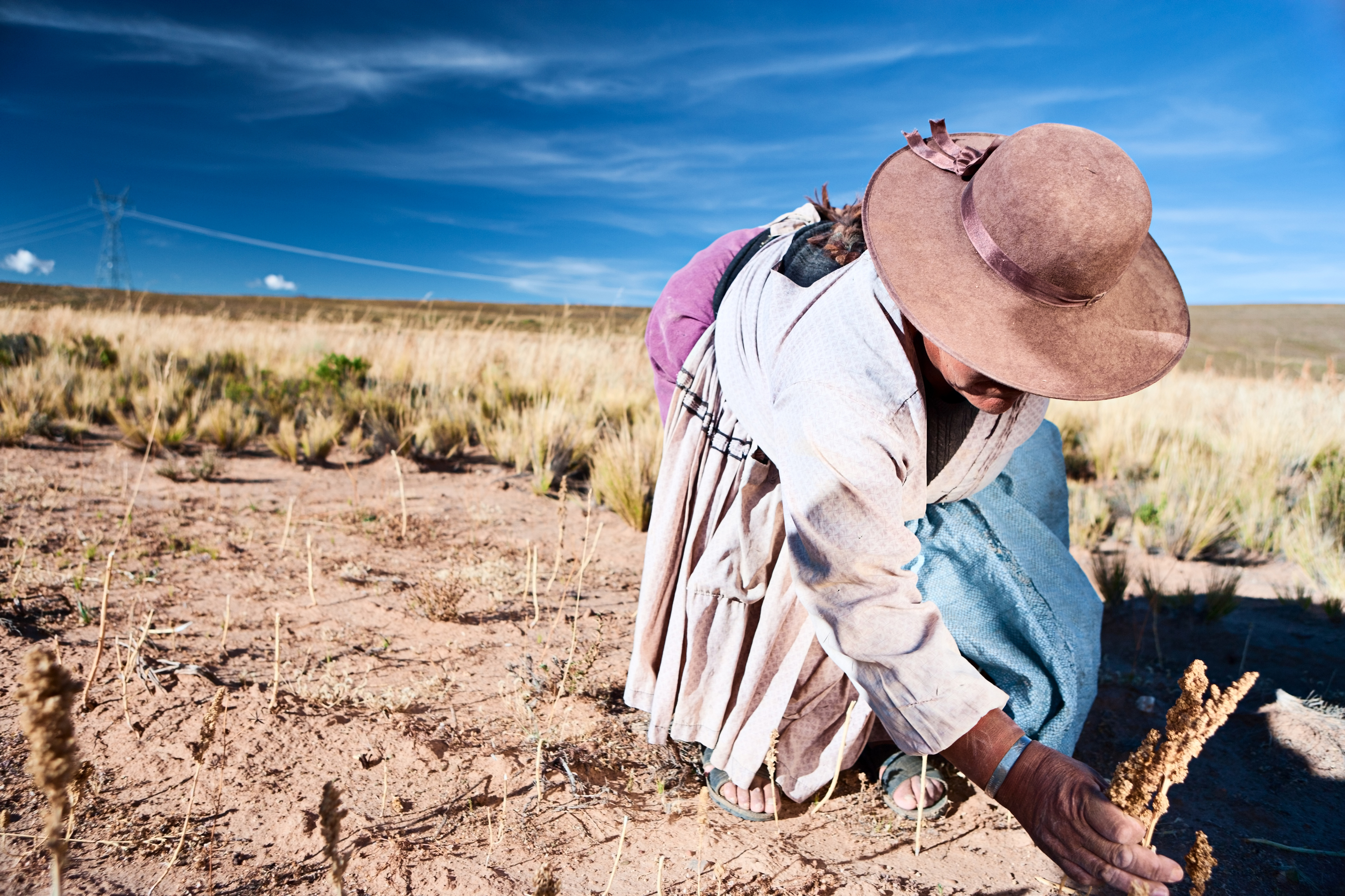 VegNews.QuinoaFarmerBolivia.Getty