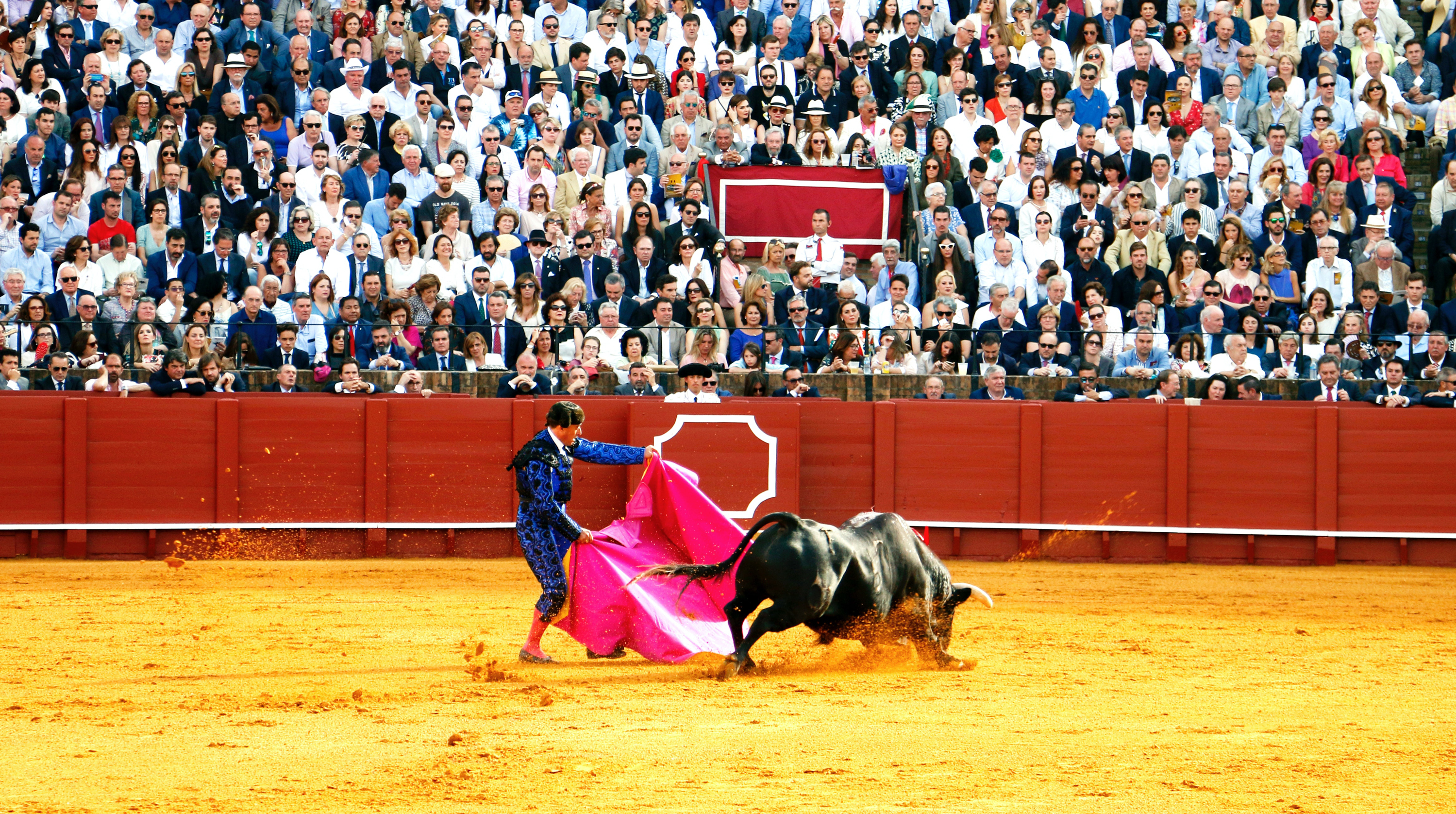 VegNews.Bullfighting.Pexels