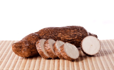 yucca-root-yucca-filamentosa