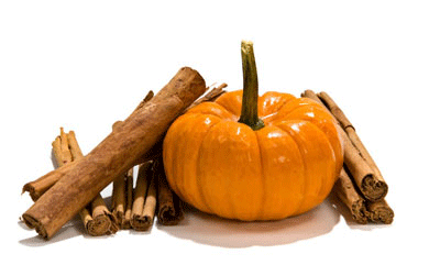 Pumpkin-cinnamonlarge