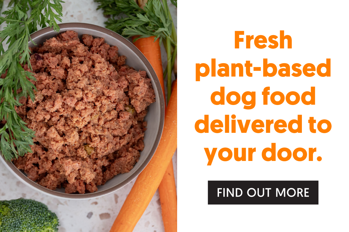 VegNews.PawCo.4.2026.PopUp