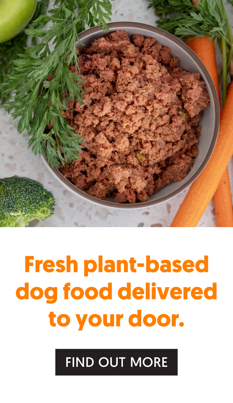 VegNews.PawCo.4.2026.PopUpMobile