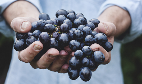 VegNews.Grapes