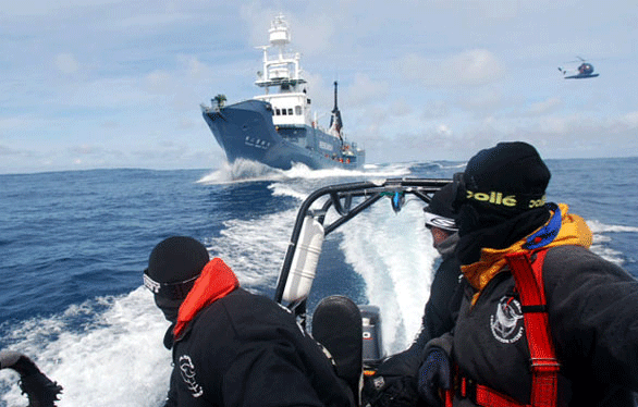 Featurette.WhaleWars